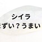 シイラアイキャッチ画像