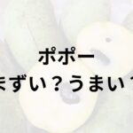 ポポーアイキャッチ画像