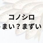 コノシロアイキャッチ画像