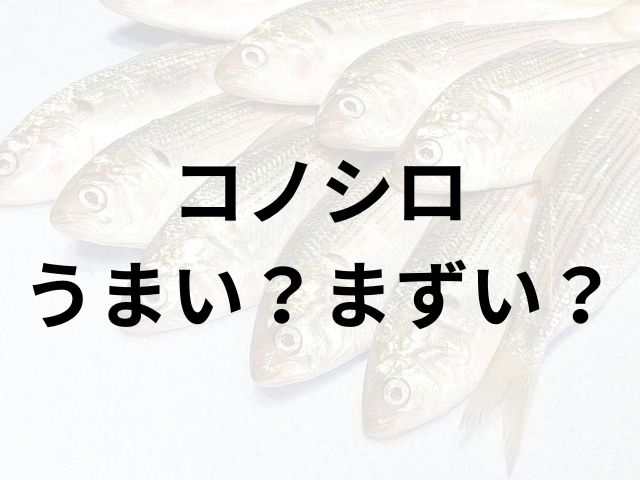 コノシロアイキャッチ画像