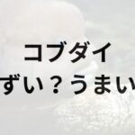 コブダイアイキャッチ画像