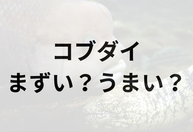 コブダイアイキャッチ画像