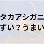 タカアシガニアイキャッチ画像