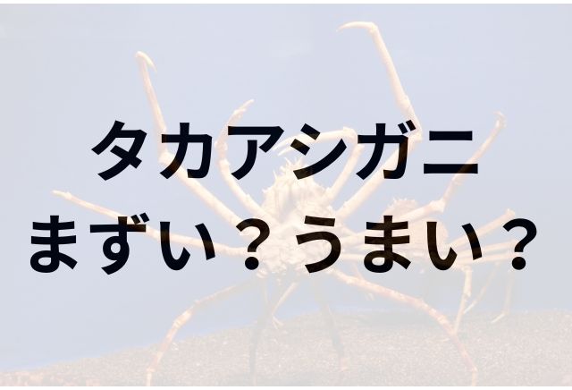 タカアシガニアイキャッチ画像