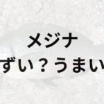 メジナアイキャッチ画像