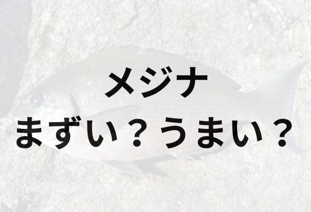 メジナアイキャッチ画像