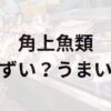 角上魚類アイキャッチ画像