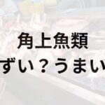 角上魚類アイキャッチ画像
