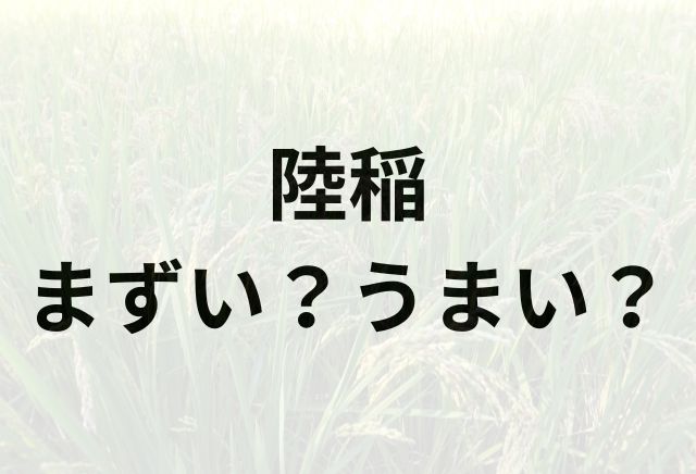 陸稲アイキャッチ画像