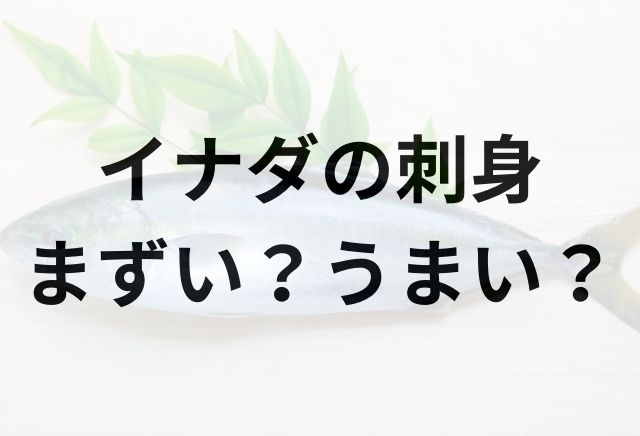 イナダの刺身アイキャッチ画像
